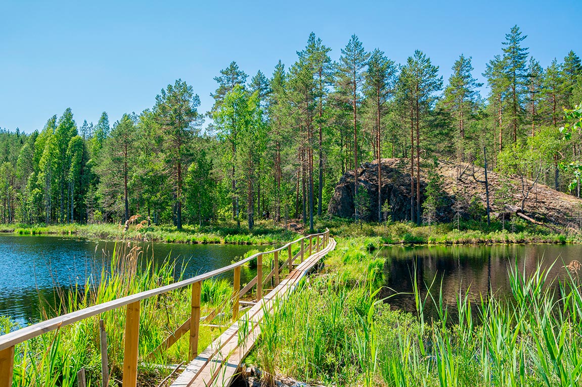 Sammalsilta pitkospuut Ruokolahdella kesäisenä päivänä.